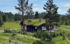 Løstegård hytter at the top of Golsfjellet